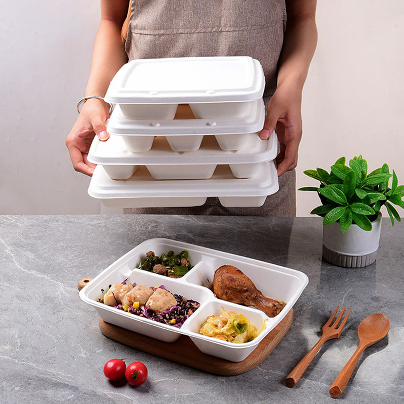 Biodegradable Disposable Containers