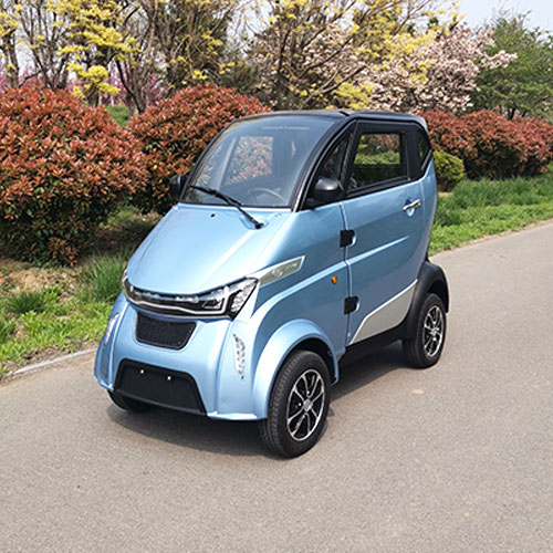 Handicapped Person Electric Vehicle