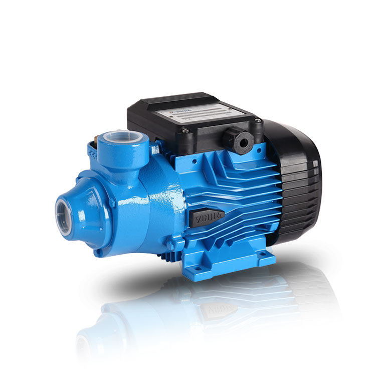 Prolonging Performance: A Guide to Maintenance Procedures for Peripheral Pumps