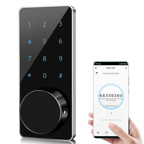 Fortifying Security: Safeguarding Against Unauthorized Access to Bluetooth Cabinet Locks