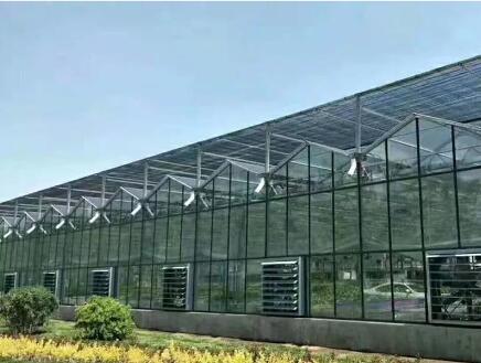 Introduction to Steel Vertical Farms: The Future of Urban Agriculture