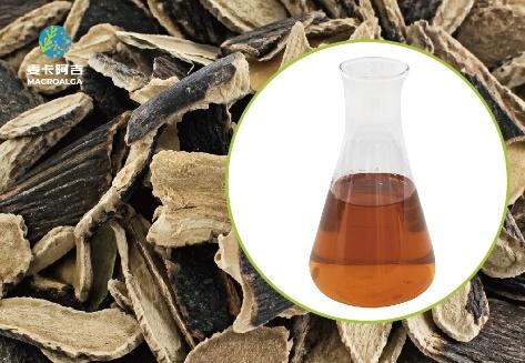 Reliable Ecklonia Maxima Extract in China: What to Look For