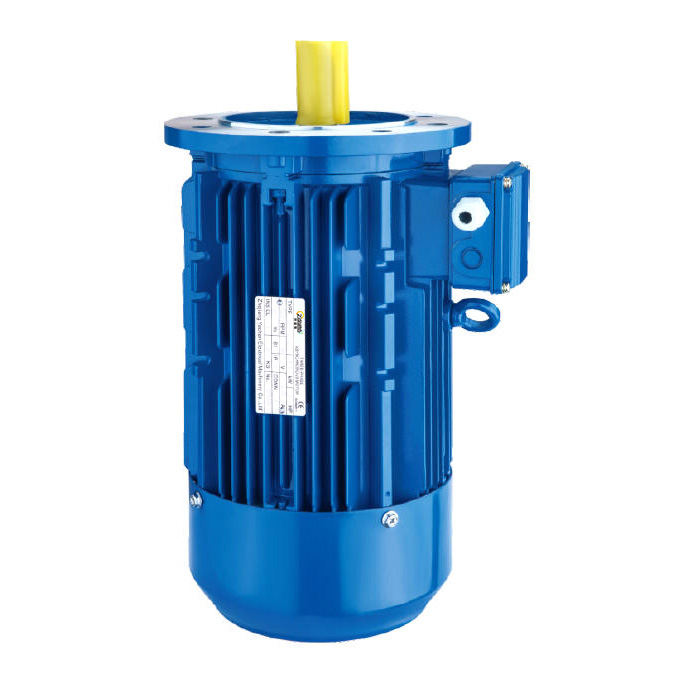 Low Loss Steel Induction Motors